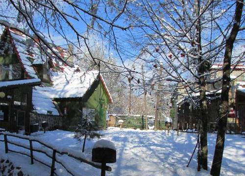 turkiye/bolu/mengen/hindiba-doga-evi-1122c352.jpg