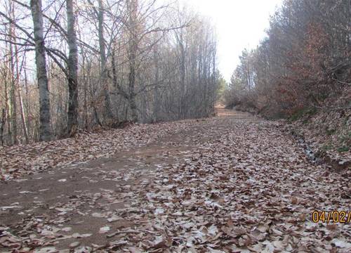 turkiye/bolu/mengen/hindiba-doga-evi-cabe8658.jpg