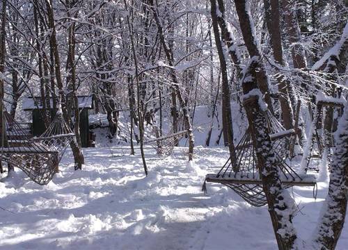 turkiye/bolu/mengen/hindiba-doga-evi-e63f1d9c.jpg