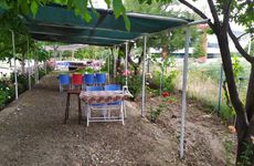turkiye/burdur/yesilova/ali-baba-pansiyonapart_41828f71.jpg