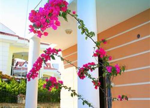 turkiye/bursa/bursa-merkez/dream-of-holiday-star-villas-1809587089.JPG