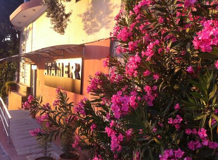 turkiye/bursa/gemlik/atamer-hotel_51c7ba47.jpg