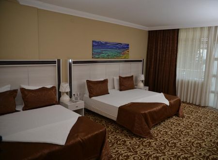 turkiye/bursa/gemlik/atamer-hotel_5a8a588c.jpg