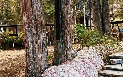 Harmancık Belediyesi İktisadi Ve Eko Turizm Tesisi · 5