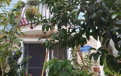 Akide Pansiyon · 2