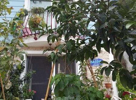 turkiye/bursa/mudanya/akide-butik-hotel-b214c4f9.jpg