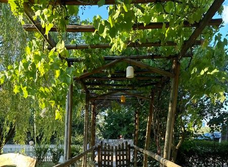 turkiye/bursa/orhangazi/keyfe-kadir-garden_93a56167.jpg