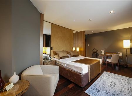 turkiye/bursa/osmangazi/almira-hotel-286234164.jpg
