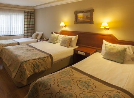 turkiye/bursa/osmangazi/boyuguzel-termal-hotel-2171-0e9d440e.jpg