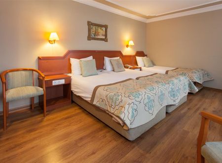 turkiye/bursa/osmangazi/boyuguzel-termal-hotel-2171-f32b36ef.jpg