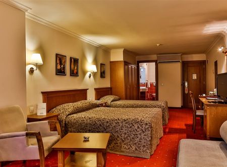 turkiye/bursa/osmangazi/central-hotel-0bc0f9d0.jpg
