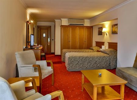 turkiye/bursa/osmangazi/central-hotel-171a356f.jpg