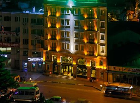 turkiye/bursa/osmangazi/central-hotel-78019294.jpg