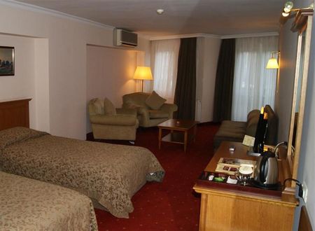 turkiye/bursa/osmangazi/central-hotel-dc7e803b.jpg