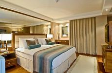 turkiye/bursa/osmangazi/marigold-thermal-spa-hotel-1430707705.png
