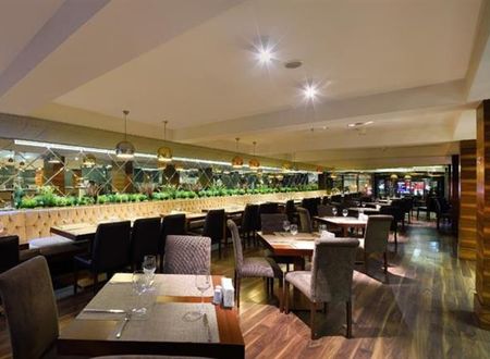 turkiye/bursa/osmangazi/tiara-termal-hotel-171364133.png