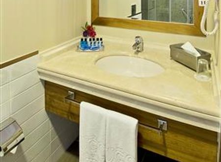 turkiye/bursa/osmangazi/tugcu-otel-select-479484057.jpg