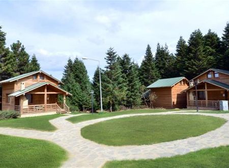 turkiye/bursa/osmangazi/uludag-orman-koskleri-dd3c8a54.jpg
