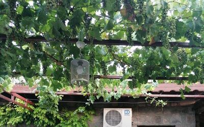 Assos Agura Pansiyon · 2