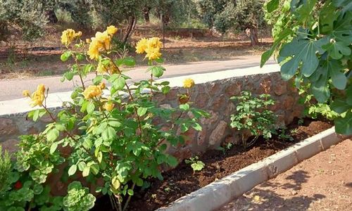 turkiye/canakkale/ayvacik/assos-gunoven-cuisine_8b66b6f0.jpg