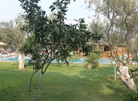 turkiye/canakkale/ayvacik/assos-oleas-hotel-1236540.jpg