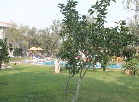 turkiye/canakkale/ayvacik/assos-oleas-hotel-1236636.jpg