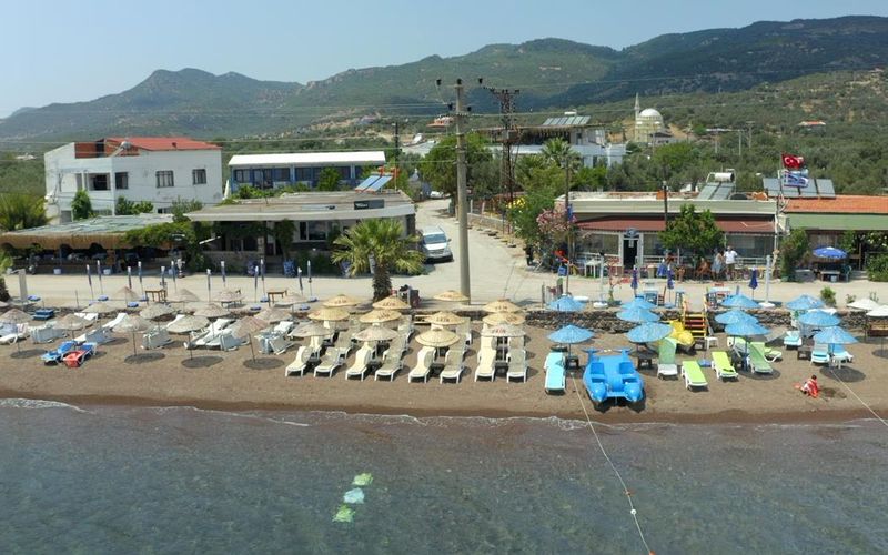Ekin Assos · 1