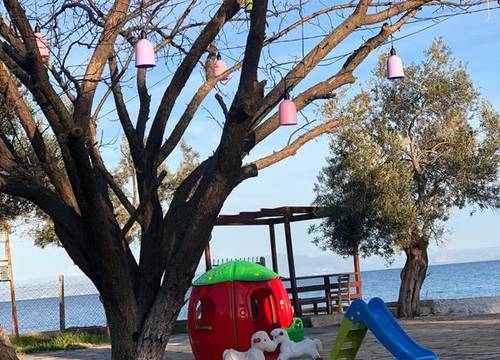 turkiye/canakkale/ayvacik/helen-camping-beach-restaurant_c7ddbe4a.jpg