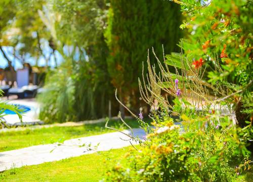 turkiye/canakkale/ayvacik/olive-odore-hotel_29bb92ce.jpg