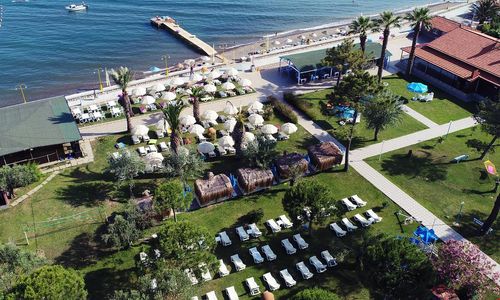 turkiye/canakkale/ayvacik/palm-beach-otel-kucukkuyu_0b0bc5ed.jpg