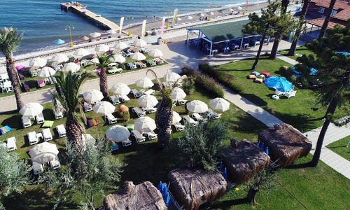 turkiye/canakkale/ayvacik/palm-beach-otel-kucukkuyu_36a544b1.jpg