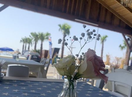 turkiye/canakkale/ayvacik/pina-bungalov-restaurant_2b7c636d.jpg