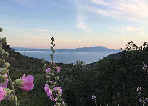 turkiye/canakkale/ayvacik/qekik-boutique-kazdaglari_d6bb49cf.jpg