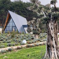 Eva Lavanda Resort