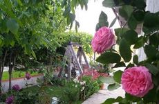 turkiye/canakkale/bozcaada/bozcaada-iris-otel-445152495.jpg