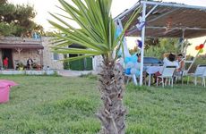 turkiye/canakkale/bozcaada/bozcaada-yesilyol-tasev_56e3c7b6.jpg
