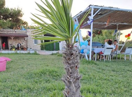 turkiye/canakkale/bozcaada/bozcaada-yesilyol-tasev_56e3c7b6.jpg