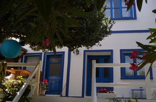 turkiye/canakkale/bozcaada/dafne_2834c23f.jpg
