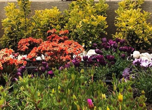 turkiye/canakkale/bozcaada/flora-otel-bozcaada_854022ec.jpeg