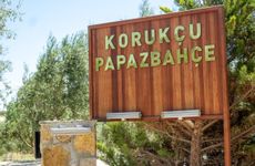 turkiye/canakkale/bozcaada/korukcu-villalari-papazbahce-karadut_4193b706.jpg