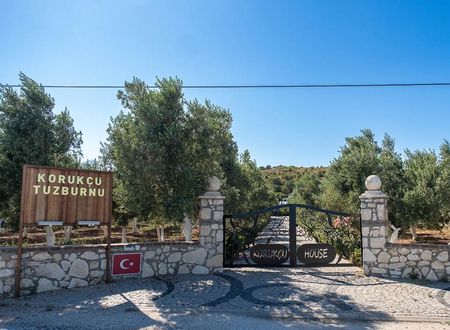 turkiye/canakkale/bozcaada/korukcu-villari-tuzburnu_2843acfa.jpg