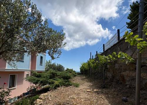 turkiye/canakkale/bozcaada/lefkofris-hotel_18a7cb6e.jpg