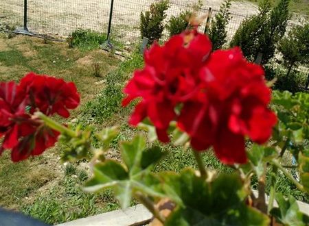 turkiye/canakkale/bozcaada/sukha-otel-0a322f10.jpeg