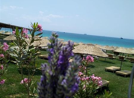 turkiye/canakkale/bozcaada/sukha-otel-17a4a6d4.jpeg