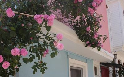 Kyma Guest House · 3