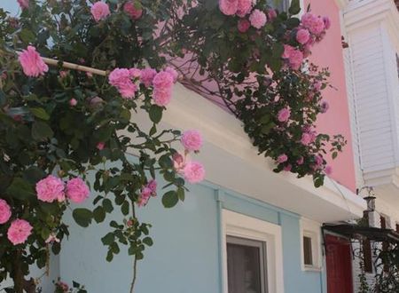 turkiye/canakkale/bozcaada/xenia-konuk-evi_df385bdc.jpg