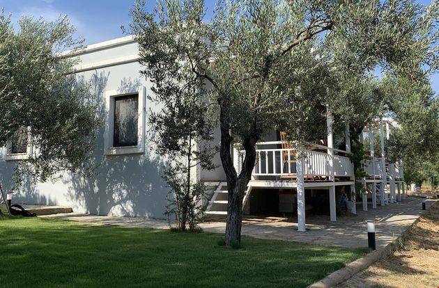 turkiye/canakkale/bozcaada/zeytinli-bahce-konuk-evi_02691b14.jpg