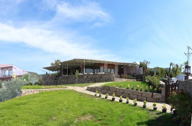 turkiye/canakkale/canakkale-ayvacik/assos-mitillini-butik-otel-3119565e.jpg