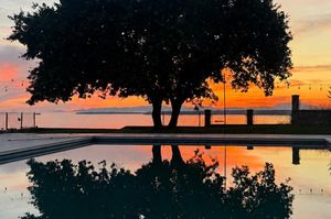 turkiye/canakkale/canakkale-merkez/pavlonya-garden_c876bbf3.png