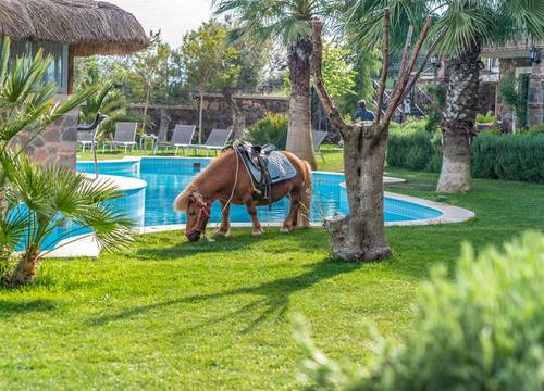 turkiye/canakkale/canakkaleayvacik/assos-alis-farm-boutique-hotel-spa-4725bc1f.jpg